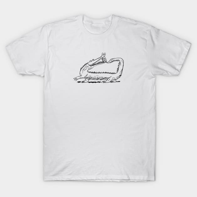 There Is a Hungry Crocodile T-Shirt by sonhouse5